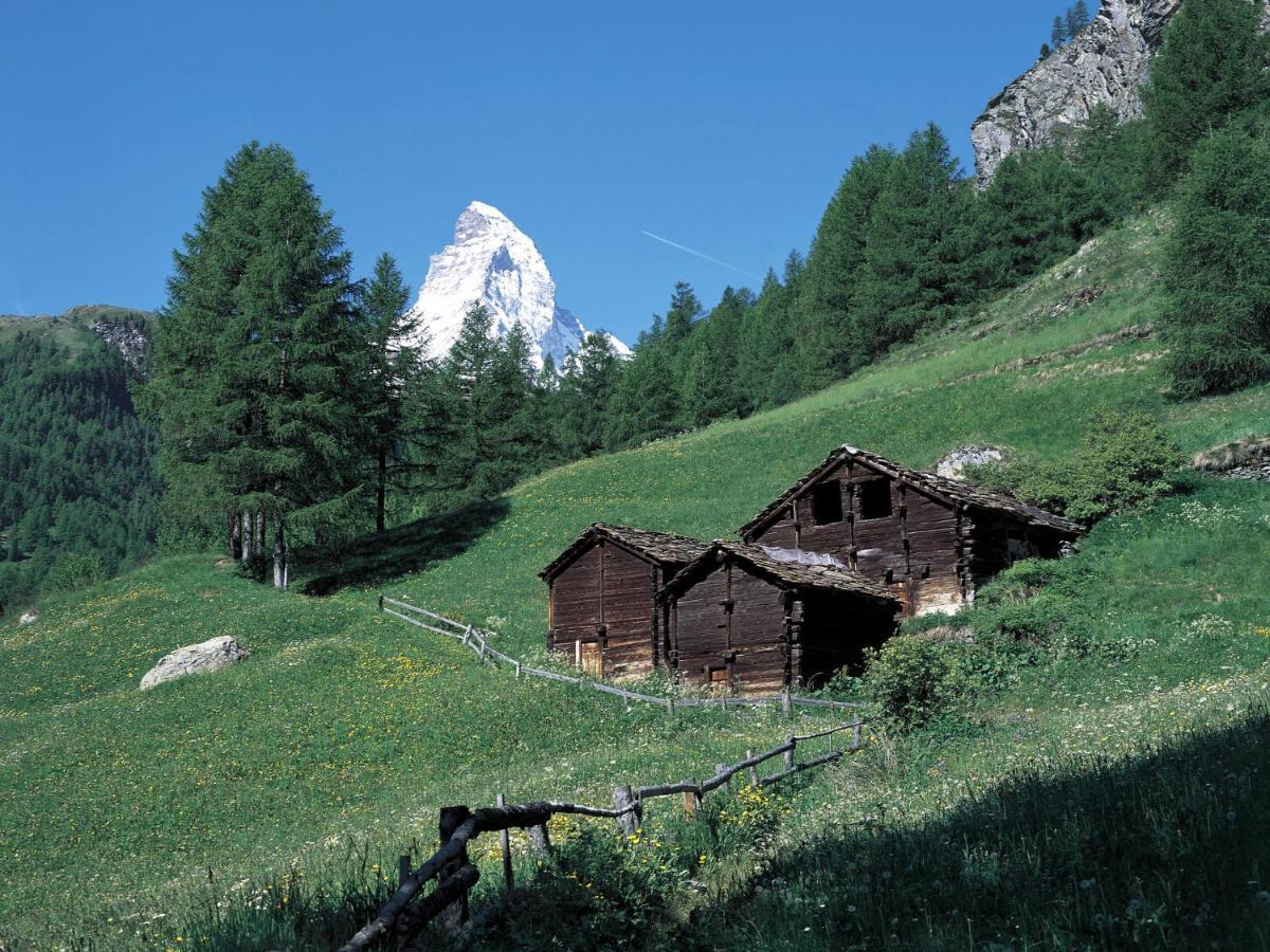 Apartment Kondor Zermatt Exterior foto